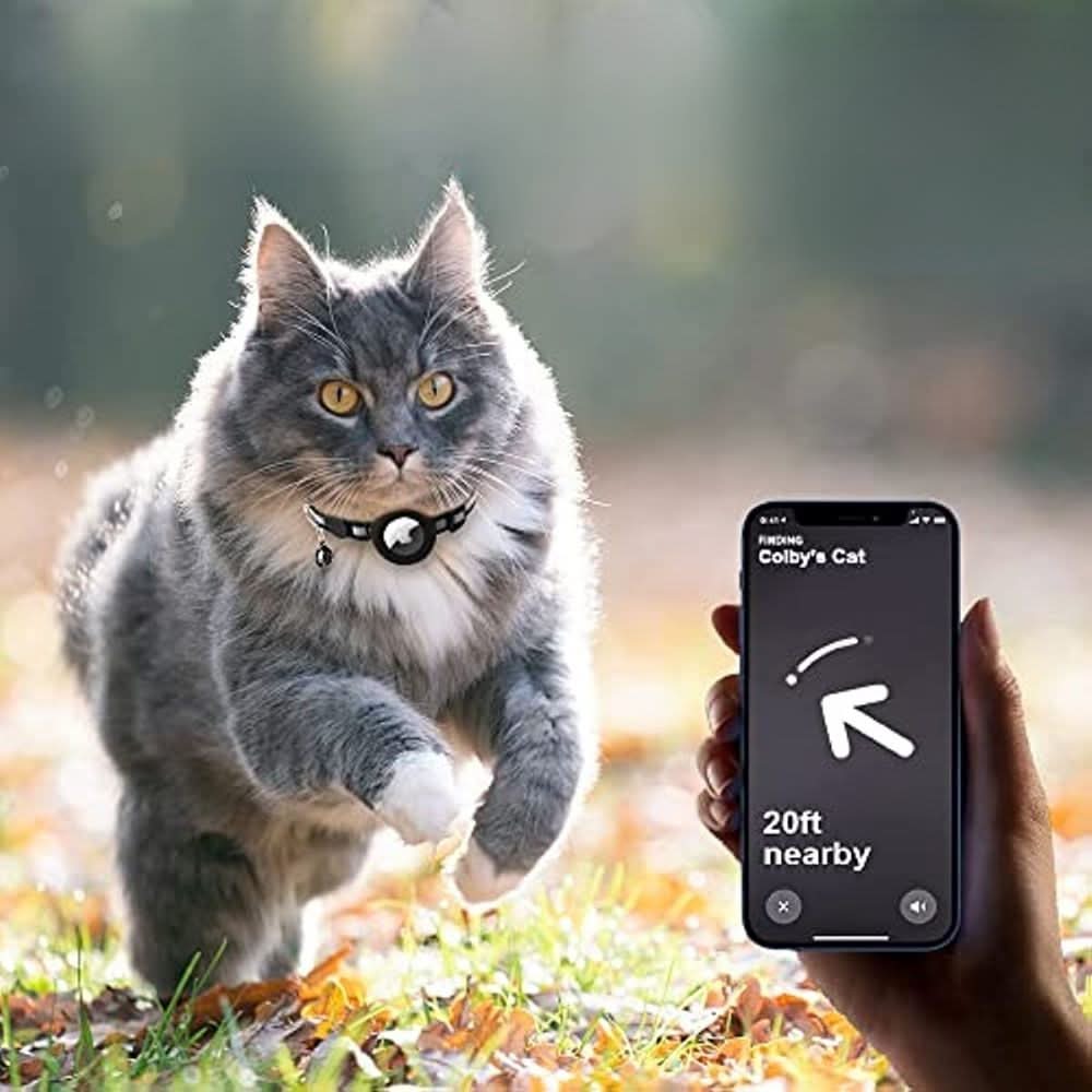 Reflekterende Kattehalsbånd med GPS-holder og Sikkerhedsspænde
