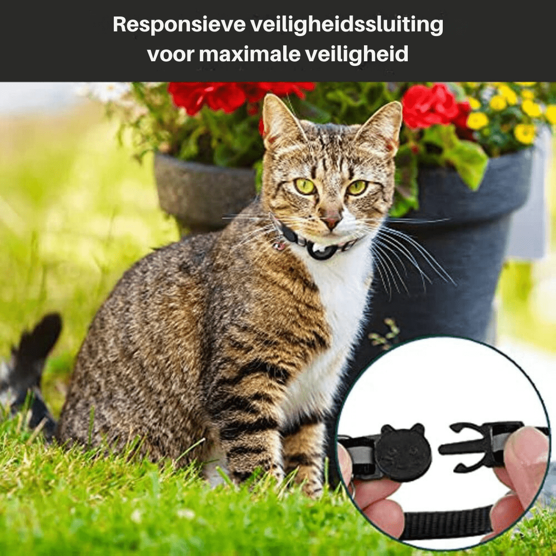 Reflekterende Kattehalsbånd med GPS-holder og Sikkerhedsspænde