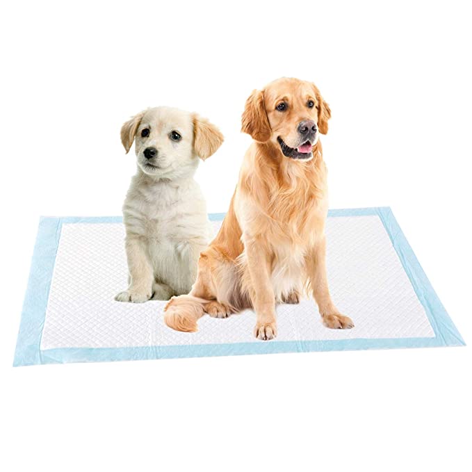Effektive Tisseputer for Hunder – Rent Hjem, Enkel Hundetrening