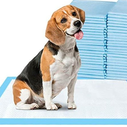 Effektive Tisseputer for Hunder – Rent Hjem, Enkel Hundetrening