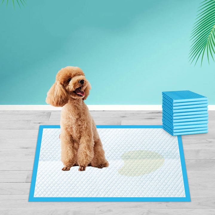 Effektive Tisseputer for Hunder – Rent Hjem, Enkel Hundetrening
