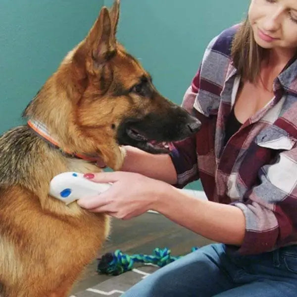 Elektrisk Loppefjerner Kam for Kjæledyr – Trygg og Effektiv
