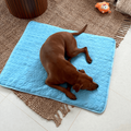 Hundens Kjølematte med Innovativ Kjøling for Varme Dager