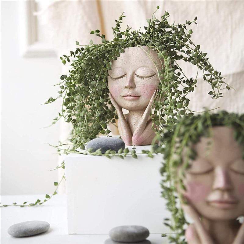 Ansiktsblomsterpotte for Innendørs Bruk