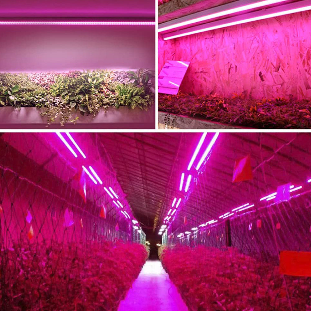 Innendørs LED-Plantelampe Fullspektrum for Optimal Vekst