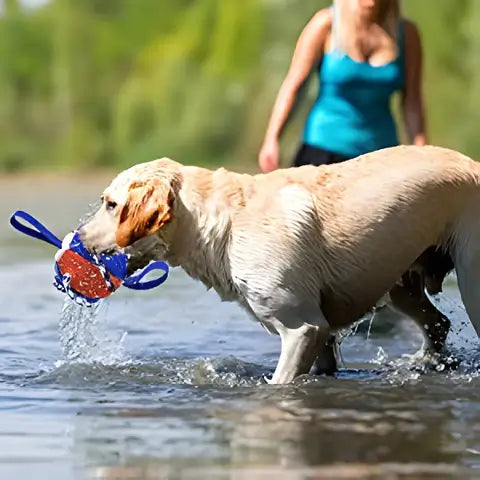 Interaktiv Frisbee Ball Hundeleke – Engasjerende Lek for Din Pelsvenn
