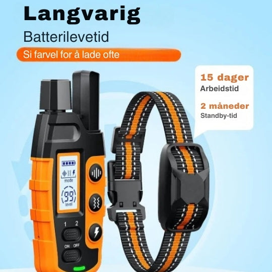 Fjernstyrt Dressurhalsbånd med Lang Rekkevidde - Justerbar