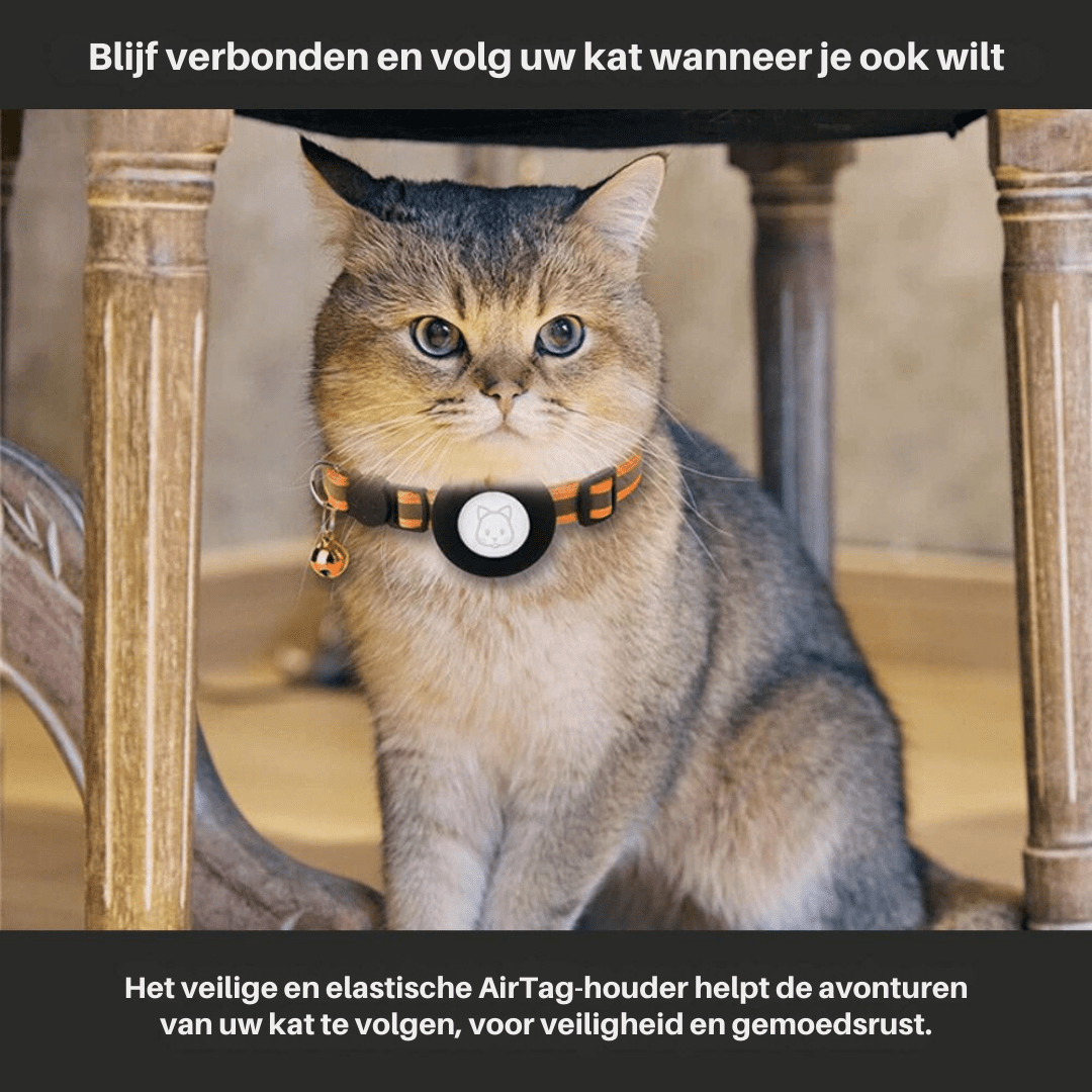 Reflekterende Kattehalsbånd med GPS-holder og Sikkerhedsspænde