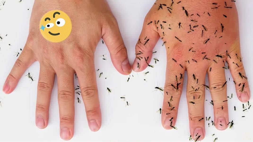 Naturlige Mygglapper for Baby og Familie