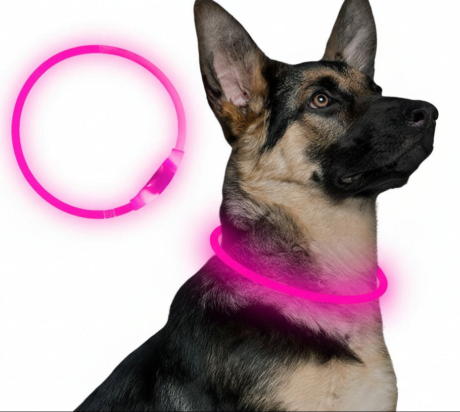 Hunde LED Halsbånd med USB-Lading for Økt Synlighet