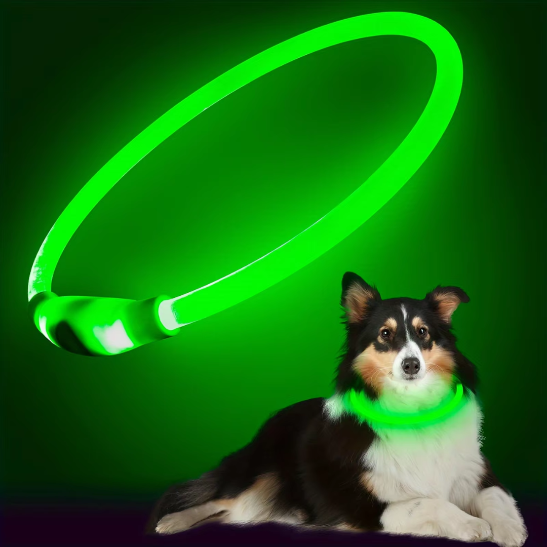 Hunde LED Halsbånd med USB-Lading for Økt Synlighet