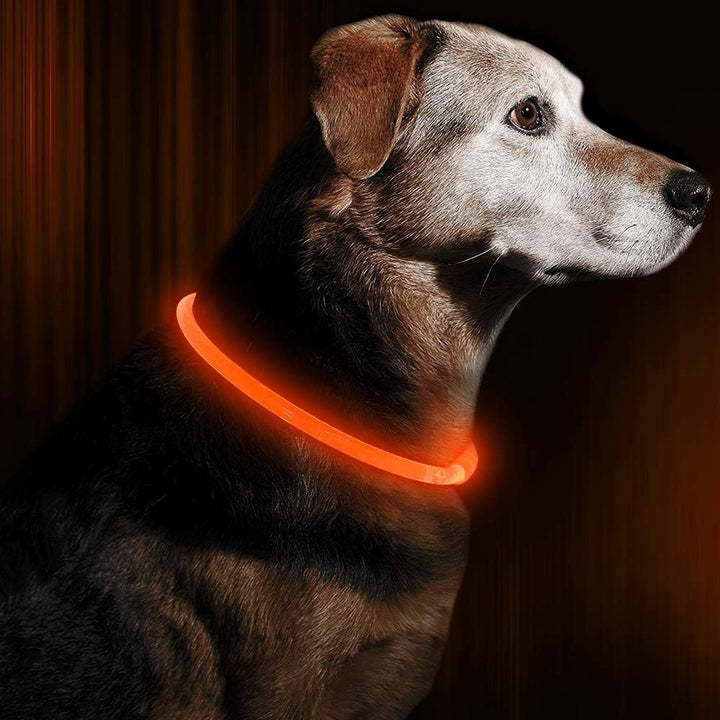 Hunde LED Halsbånd med USB-Lading for Økt Synlighet