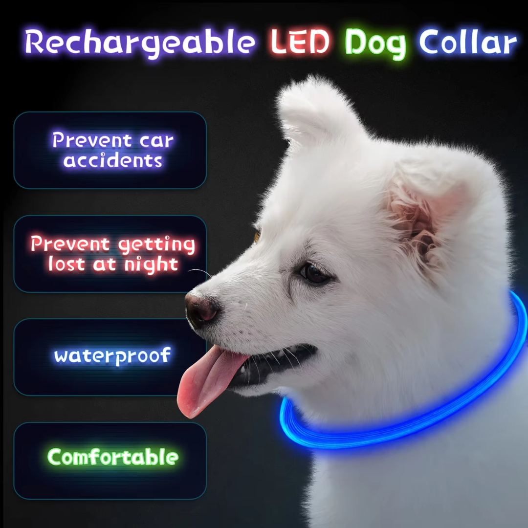Hunde LED Halsbånd med USB-Lading for Økt Synlighet