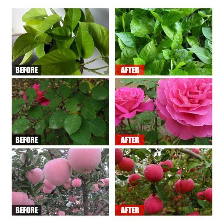Plantenæring for Sunn Vekst og Frodig Blomstring
