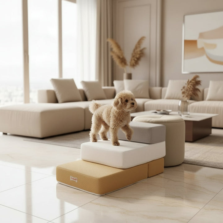 Robust Hundetrapp for Kjæledyr – Trygg Tilgang til Sofa &amp; Seng