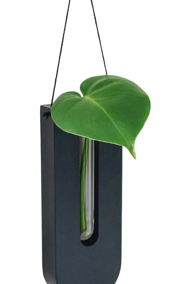 Rustikk Treveggdekor for Grønne Planter