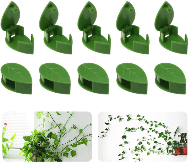 Plantestøtteklips for Klatreplanter – Organiser Veggene Enkelt