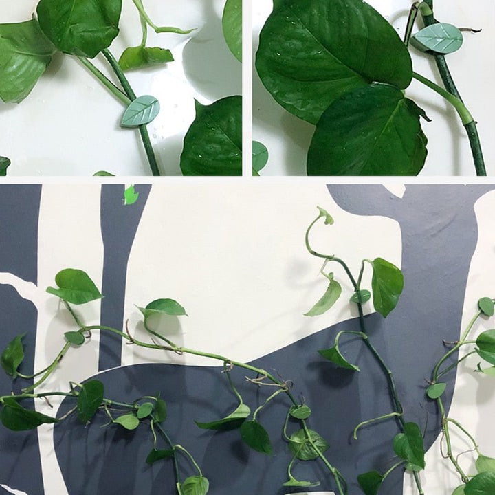 Plantestøtteklips for Klatreplanter – Organiser Veggene Enkelt