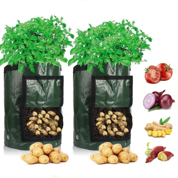 Dyrk Poteter Hjemme: Smart Potetdyrkingspose for Terrasse &amp; Balkong