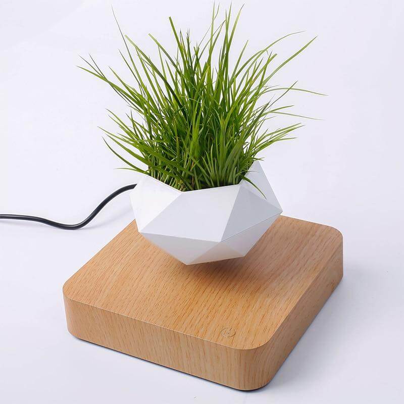 Svevende Plante Air Bonsai Potte
