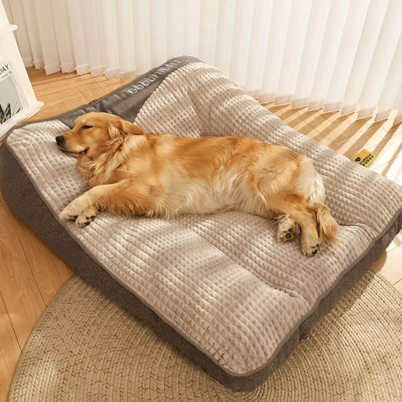 Tykk hundeseng med ryggbeskyttelse - Komfortabel og slitesterk